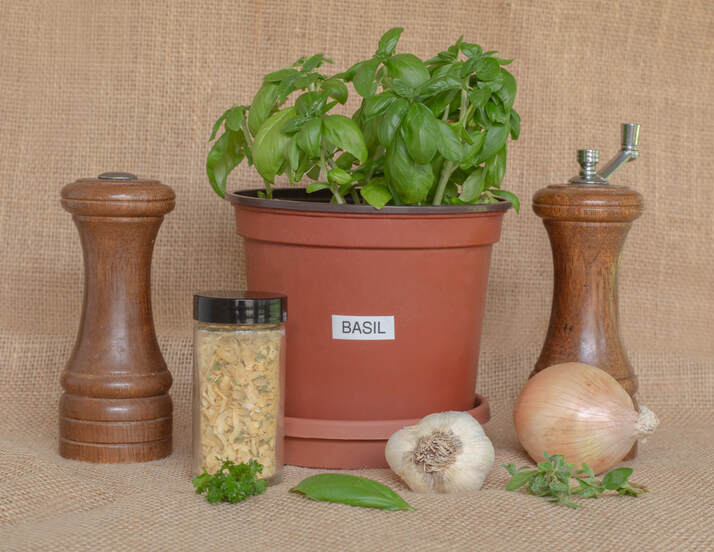 spices, herbs, seasonings, savory, basil, salt, pepper, oregano, parsley, garlic, onion